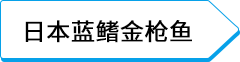 日本蓝鳍金枪鱼